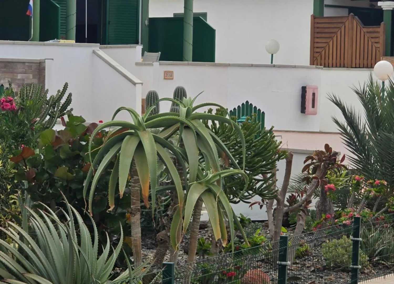 Lägenhet The Sunflower Maspalomas  Spanien