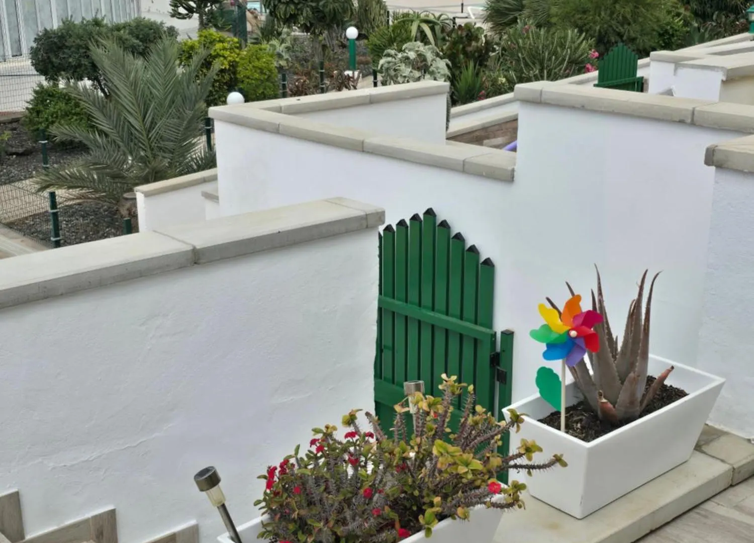 The Sunflower Maspalomas